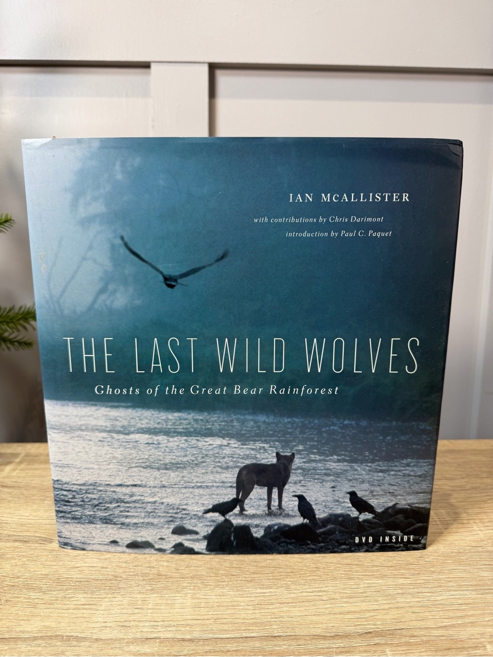 The Last Wild Wolves: Ghosts of the Great Bear Rainforest hardcover